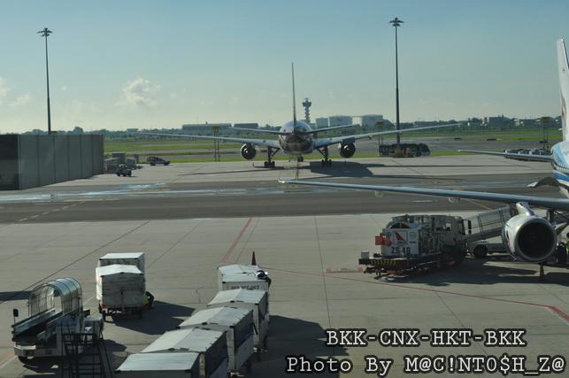 DSC_0556_resize.jpg